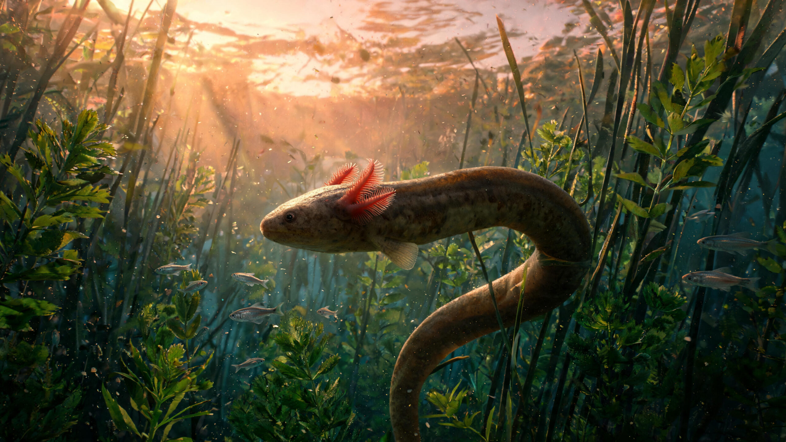 Greater Siren
