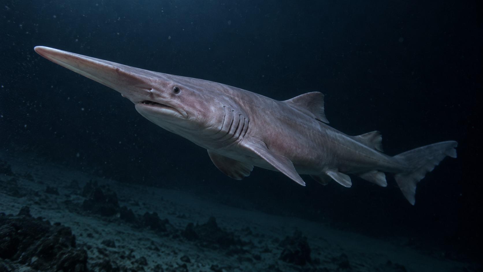 Generated featured hero image of Goblin Shark in a natural aquatic setting